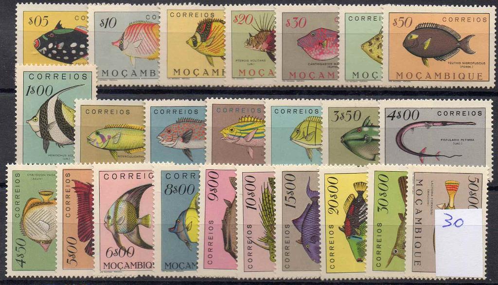 1266.jpg -     Lote:    1266            Moçambique       Descrição:         1951 &mdash; Peixes de Moçambique &mdash; CE356/79. Série completa. MB com  goma perfeita, sem irregularidades. Valor de catálogo &euro; 340,00        ***       Valor Base:     &euro; 70,00     Valor Venda:     Retirado     