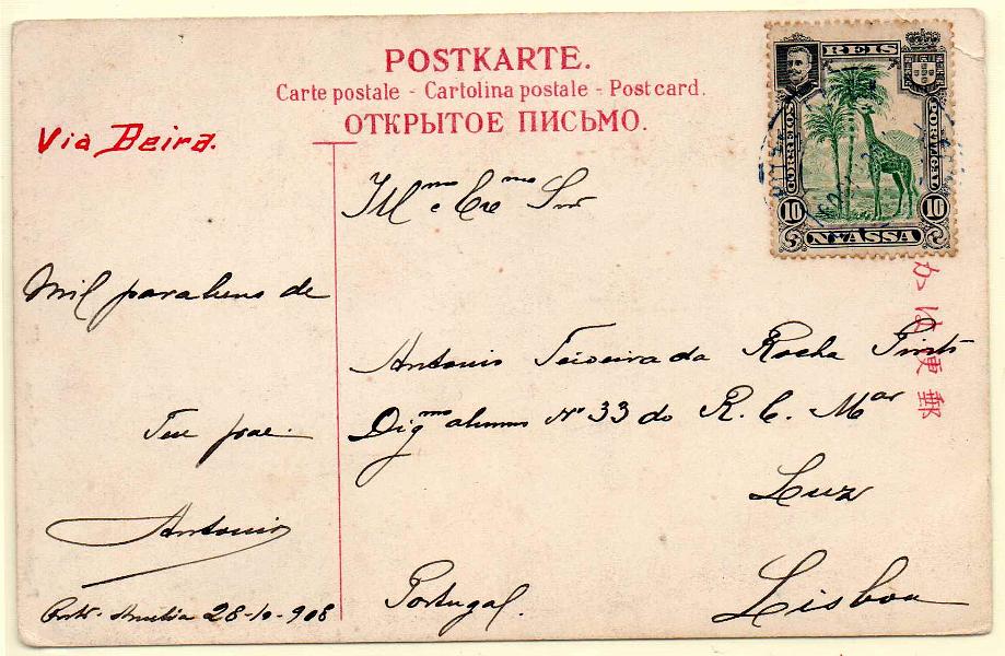 1348.jpg -     Lote:    1348            Companhia do Niassa       Descrição:         1901 &mdash; D. Carlos I (Girafa e Camelo). CE29, 10 reis verde, em postal ilustrado circulado de Porto Amélia (28.10.08) para Lisboa.        PI       Valor Base:     &euro; 15,00     Valor Venda:     Retirado     