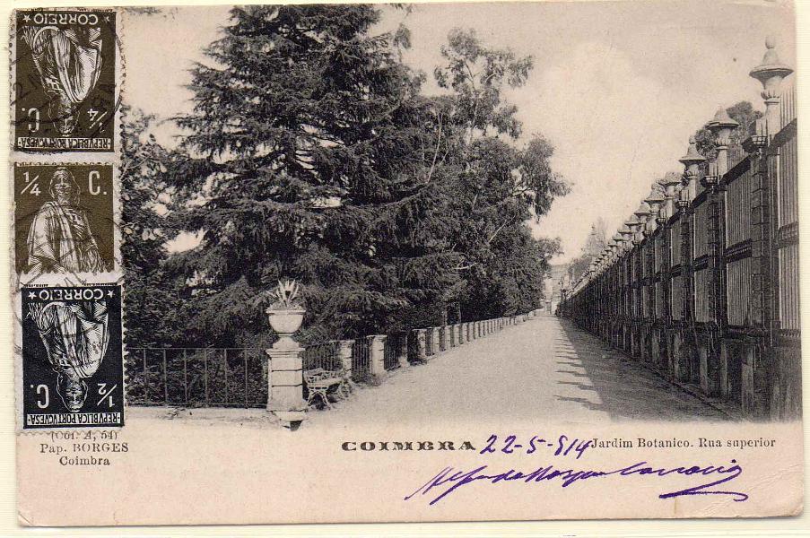 1894.jpg -     Lote:    1894      Lotes pelo Correio             Descrição:         Coimbra. Jardim Botânico. Rua superior. Circulado.        PI       Valor Base:     &euro; 8,00     Valor Venda:     Retirado     