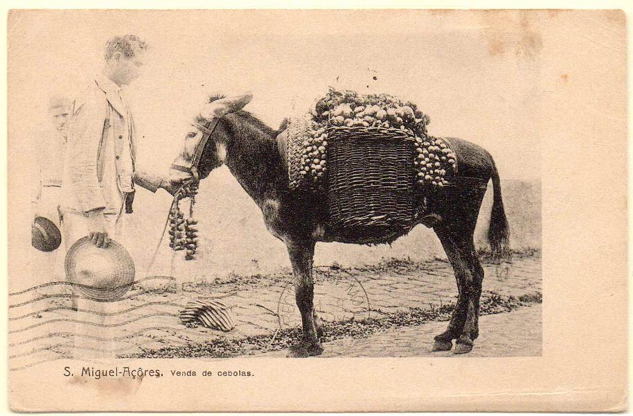 1935.jpg -     Lote:    1935      Lotes pelo Correio             Descrição:         Açores. S. Miguel. Venda de cebola. Circulado.        PI       Valor Base:     &euro; 8,00     Valor Venda:     Retirado     