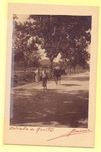 1786.jpg -     Lote:    1786      Lotes pelo Correio             Descrição:         Bárcia &mdash; Estrada de Azeitão. Fotográfico. Novo.        PI       Valor Base:     &euro; 15,00     Valor Venda:     Retirado     