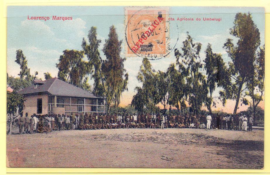 1911.jpg -     Lote:    1911      Lotes pelo Correio             Descrição:         Lourenço Marques. Estação Agronómica do Umbeluzi. Edição J. Fernandes Moinhos. Usado circulado.        PI       Valor Base:     &euro; 7,00     Valor Venda:     &euro; 7,00     