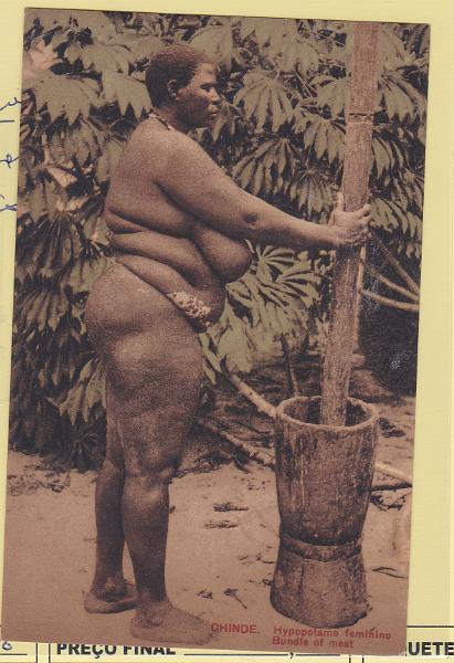 1919.jpg -     Lote:    1919      Lotes pelo Correio             Descrição:         Moçambique. Chinde. Hypopotamo feminino. Edição C. Coutinho n.º 99. Novo.        PI       Valor Base:     &euro; 5,00     Valor Venda:     Retirado     
