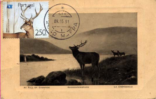 0804.jpg -     Lote:    804                   Descrição:         1991 &mdash; Ano Europeu do Turismo. Veado da Serra de S. Mamede. Postal ilustrado concordante com selo do Bloco de 250$00 CE1995, obliterados com marca de dia de Mafra (09.05.91).        PM       Valor Base:     &euro; 10,00     Valor Venda:     &euro; 10,00     