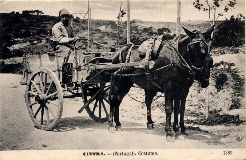 0836.jpg -     Lote:    836                   Descrição:         Cintra &mdash; (Portugal). Costumes (carro de tracção animal). Novo.        PI       Valor Base:     &euro; 20,00     Valor Venda:     Retirado     