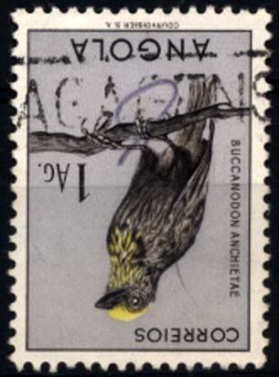 2049.jpg -     Lote:    2049            Angola       Descrição:         Carimbos ferroviários nominativos. Selo de 1Ang Aves de Angola CE331, obliterado com carimbo batido a preto "BAGAGENS". Tipo carimbo habitualmente utilizados nas estações ferroviárias do Caminho de Ferro de Benguela. B e MR.        O       Valor Base:     &euro; 40,00     Valor Venda:     &euro; 140,00     