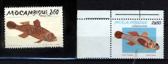 2174.jpg -     Lote:    2174                   Descrição:      Moçambique * Palops.   1979 &mdash; Peixes tropicais. Desenho aguarelado com o motivo do selo de 2$50. Acompanha selo para comparação. MB e MR.        PRV       Valor Base:     &euro; 30,00     Valor Venda:     Retirado     