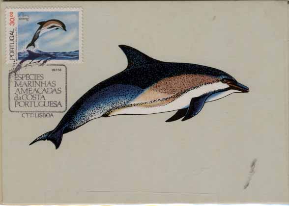 2415.jpg -     Lote:    2415      Lotes pelo Correio              Descrição:         1983 &mdash; Espécies Marinhas ameaçadas na Costa Portuguesa. CE1625/1628. Série de 4 postais máximos, um por cada um dos valores da emissão, obliterados com carimbo de 1.º dia de circulação de Lisboa (29.07.83).        PM       Valor Base:     &euro; 8,00     Valor Venda:     Retirado     