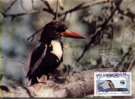 2432.jpg -     Lote:    2432      Lotes pelo Correio              Descrição:      Macau.   Aves regionais. Lote de 4 postais ilustrados, concordantes com os selos CE496 (2 com PI diferentes), 498 e 499, obliterados com o carimbo de 1.º dia de circulação de Macau (21.09.84).        PM       Valor Base:     &euro; 8,00     Valor Venda:     &euro; 12,00     