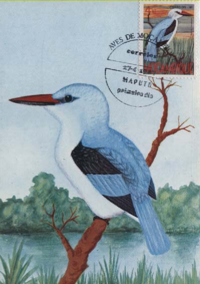 2441.jpg -     Lote:    2441      Lotes pelo Correio              Descrição:      República de Moçambique. 1987   &mdash; Aves de Moçambique. Lote de seis postais ilustrados, cada um com selo concordante da série (completa), obliterados com carimbo de 1.º dia de circulação do Maputo (27.04.84).        PM       Valor Base:     &euro; 12,00     Valor Venda:     Retirado     