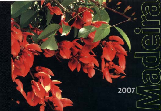 2782.jpg -     Lote:    2782      Lotes pelo Correio       Portugal       Descrição:         2007 &mdash; Madeira 2007. Caderneta com os selos e blocos emitidos em 2007 + prova da emissão Europa-Madeira. Valor de catálogo &euro; 27,50.        CRT       Valor Base:     &euro; 5,00     Valor Venda:     &euro; 9,00     