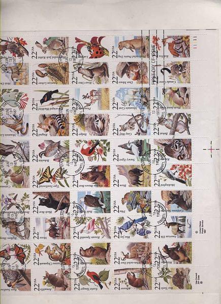 3105.jpg -     Lote:    3105      Lotes pelo Correio              Descrição:      EUA.   Sobrescrito de grandes dimensões, com bloco de 50 selos de animais dos EUA. Circulado.        Carta       Valor Base:     &euro; 5,00     Valor Venda:     &euro; 8,00     