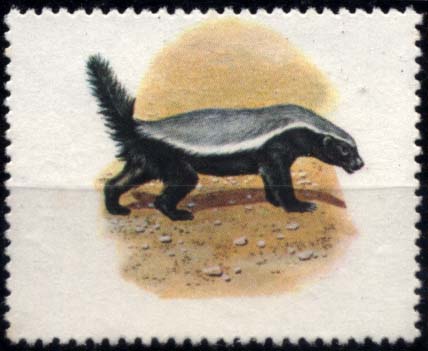 3126.jpg -     Lote:    3126      Lotes pelo Correio              Descrição:      Moçambique * Palops.   1976 &mdash; Fauna. CE45, 1$00. Selo sem impressão das legendas e taxa.        ***       Valor Base:     &euro; 5,00     Valor Venda:     Retirado     