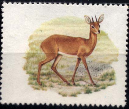 3127.jpg -     Lote:    3127      Lotes pelo Correio              Descrição:      Moçambique * Palops.   1976 &mdash; Fauna. CE47, 2$00. Selo sem impressão das legendas e taxa.        ***       Valor Base:     &euro; 5,00     Valor Venda:     Retirado     