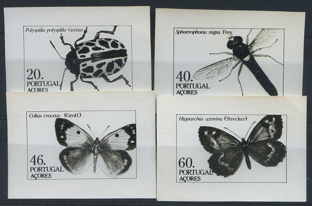 0877.jpg -     Lote:    877            Portugal       Descrição:         1985 &mdash; Insectos dos Açores. 2.º Grupo. CE1687/1690. Lote de 4 provas fotográficas a preto e branco, não denteadas. R.        PRV       Valor Base:     &euro; 10,00     Valor Venda:     &euro; 18,00     