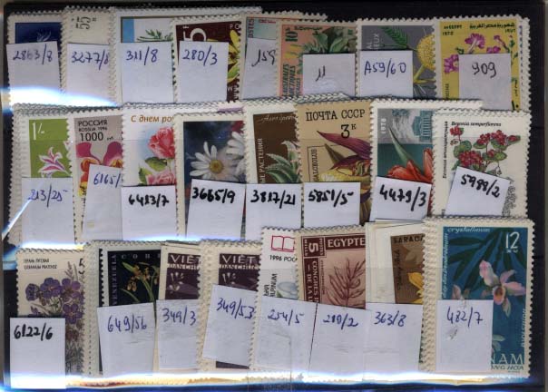 2023.jpg -     Lote:    2023                   Descrição:      Estrangeiro * Temática Flores &mdash;   Lote com 335 selos novos, com 74 séries completas e 11 blocos diferentes com valor de catálogo de &euro; 603.00. Lote a ver.        Lote       Valor Base:     &euro; 60,00     Valor Venda:     &euro; 80,00     