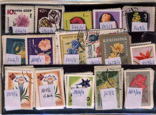 2670.jpg -     Lote:    2670      Lotes pelo Correio             Descrição:      Estrangeiro * Temática Flores &mdash;   Lote com 163 selos usados, com 21 séries completas diferentes com valor de catálogo de &euro; 106.00. Lote a ver.        Lote       Valor Base:     &euro; 10,00     Valor Venda:     Retirado     