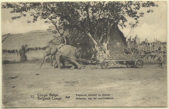 1802.jpg -     Lote:    1802                   Descrição:      Congo Belga.   1909 &mdash; Emissão base com legenda "CONGO BELGA". Yv17, 10c carmim + adicional de 5c. Inteiro postai ilustrado (Api * Eléphants trainant un chariot). Circulado de Banana para o Porto.        IC       Valor Base:     &euro; 10,00     Valor Venda:     &euro; 10,00     