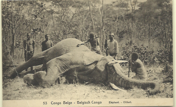 1806.jpg -     Lote:    1806                   Descrição:      Congo Belga.   1909 &mdash; Emissão base com legenda "CONGO BELGA". Yv17, 15C s/ 10c carmim. Inteiro postai ilustrado (Elephant).        IN       Valor Base:     &euro; 10,00     Valor Venda:     Retirado     