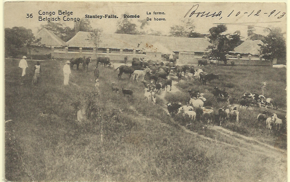 1822.jpg -     Lote:    1822                   Descrição:      Congo Belga.   1909 &mdash; Emissão base com legenda "CONGO BELGA". Yv17, 10c carmim. Inteiro postai ilustrado (La ferme. Stanley-Falls). Circulado em 10.12.1913.        IC       Valor Base:     &euro; 10,00     Valor Venda:     Retirado     