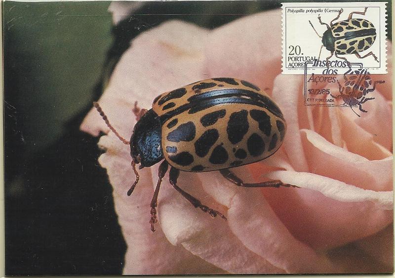 2090.jpg -     Lote:    2090      Lotes pelo Correio              Descrição:         Insectos dos Açores (1.º grupo). Série com selos da caderneta, obliterados com carimbo do 1.º dia de circulação.        PM       Valor Base:     &euro; 15,00     Valor Venda:     Retirado     
