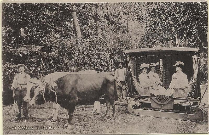0795.jpg -     Lote:    795                   Descrição:         Madeira. Bullock Car. Circulado com selo Ceres.         PI       Valor Base:     &euro; 8,00     Valor Venda:     Retirado     