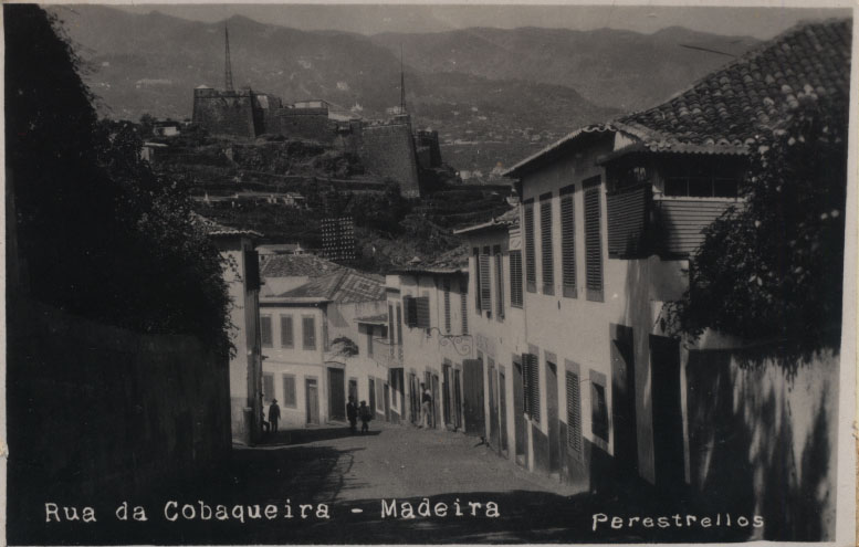 0796.jpg -     Lote:    796                   Descrição:         Madeira. Rua da Cobaqueira. Postal ilustrado fotográfico. Circulado.         PI       Valor Base:     &euro; 8,00     Valor Venda:     &euro; 8,00       