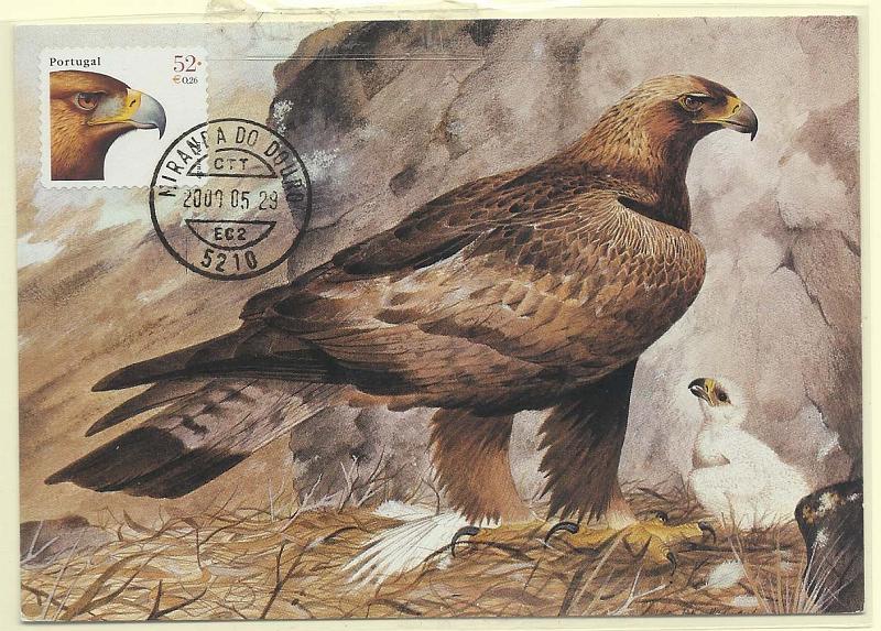 1856.jpg -     Lote:    1856      Lotes pelo Correio              Descrição:         Aves. Águia real (Aquila chrysaetos). Postal ilustrado concordante com selo de 52$00 CE2672, obliterados com marca de dia de Miranda do Douro (29.05.2000).        PM       Valor Base:     &euro; 3,00     Valor Venda:     &euro; 10,00       