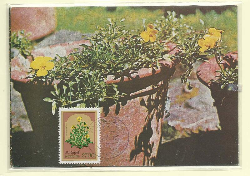 1859.jpg -     Lote:    1859      Lotes pelo Correio              Descrição:         Flores da Madeira. Lote de 4 postais ilustrados concordantes com cada uma dos selos da série CE1582/85, obliterados com marca de dia do Funchal.        PM       Valor Base:     &euro; 6,00     Valor Venda:     Retirado     