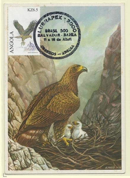 1861.jpg -     Lote:    1861      Lotes pelo Correio              Descrição:      Angola.   Águia Real (A. Chrysaetos). Postal ilustrado concordante com selo de K6,50, obliterados com carimbo comemorativo da Lubrapex-Brasil 2000.        PM       Valor Base:     &euro; 12,00     Valor Venda:     &euro; 12,00       