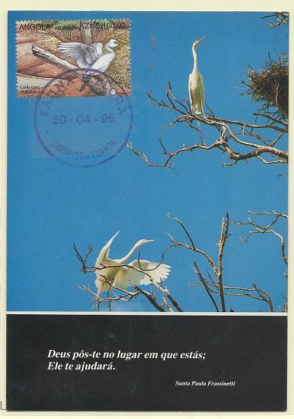 1862.jpg -     Lote:    1862      Lotes pelo Correio              Descrição:      Angola.   Garça Egret (B. íbis). Postal ilustrado concordante com selo de 100,00k obliterados com carimbo de 1.º dia de circulação de Luanda (20.04.96).        PM       Valor Base:     &euro; 8,00     Valor Venda:     &euro; 8,00       