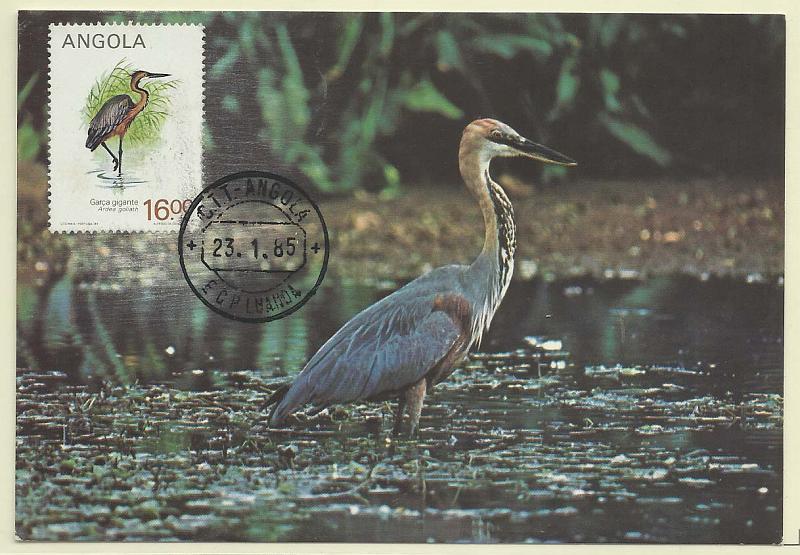 1863.jpg -     Lote:    1863      Lotes pelo Correio              Descrição:      Angola.   Graça Gigante (Ardeagolath). Postal ilustrado concordante com selo de 16,00k, obliterados com marca de dia de Luanda (23.01.85).        PM       Valor Base:     &euro; 10,00     Valor Venda:     &euro; 10,00       