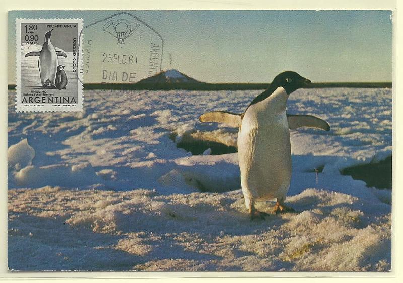 1873.jpg -     Lote:    1873      Lotes pelo Correio              Descrição:      Argentina.   Pinguim (Py. Adeliae). Postal ilustrado concordante com selo de 1,80P+0,80P, obliterados com carimbo comemorativo (25.02.61).        PM       Valor Base:     &euro; 7,00     Valor Venda:     &euro; 7,00       