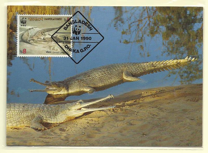 1878.jpg -     Lote:    1878      Lotes pelo Correio              Descrição:      Bangladesh.   Gavial. Dois postais ilustrados concordantes com selos de 2,00 e 8,00, obliterados com carimbo de 1.º dia de circulação (31.01.90).        PM       Valor Base:     &euro; 12,00     Valor Venda:     Retirado     