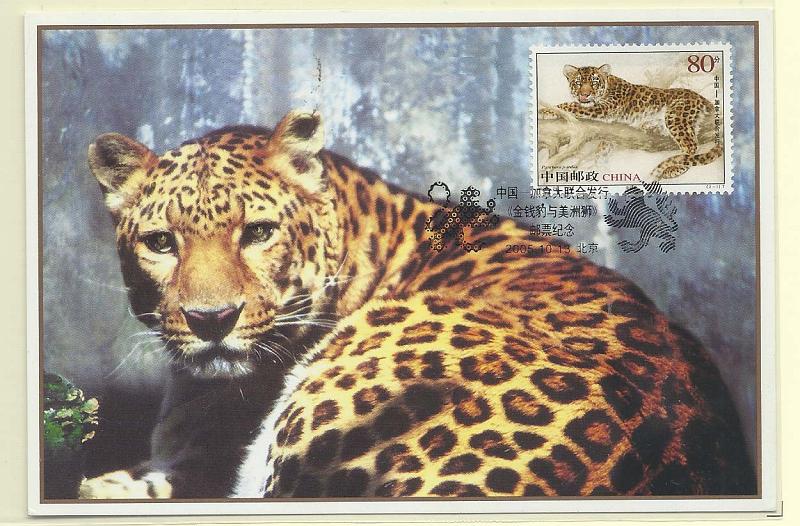 1884.jpg -     Lote:    1884      Lotes pelo Correio              Descrição:      China.   Leopardo (P. Pardus). Postal ilustrado concordante com selo de 80c, obliterado com carimbo de 1.º dia de circulação (13.10.2005).        PM       Valor Base:     &euro; 3,00     Valor Venda:     Retirado     