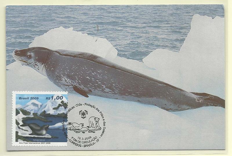 1893.jpg -     Lote:    1893      Lotes pelo Correio              Descrição:      Brasil.   Foca-leopardo. Postal ilustrado concordante com selo de 1,00R, obliterados com carimbo de 1.º dia de circulação (triplo) de Brasília (18.03.2009).        PM       Valor Base:     &euro; 5,00     Valor Venda:     Retirado     