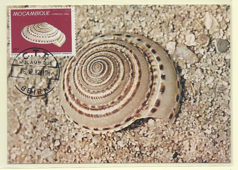 1894.jpg -     Lote:    1894      Lotes pelo Correio              Descrição:      Moçambique.   Concha (A. Perspectiva). Postal ilustrado concordante com selo de 5Mt, obliterados com marca de dia da beira (16.12.82).        PM       Valor Base:     &euro; 5,00     Valor Venda:     Retirado     