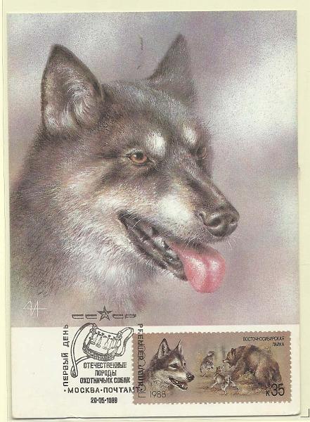 1907.jpg -     Lote:    1907      Lotes pelo Correio              Descrição:      U.R.S.S.   Lobo. Postal ilustrado concordante com selo de 35k, obliterados com carimbo de 1.º dia de circulação de Moscovo (20.05.88).        PM       Valor Base:     &euro; 5,00     Valor Venda:     Retirado     