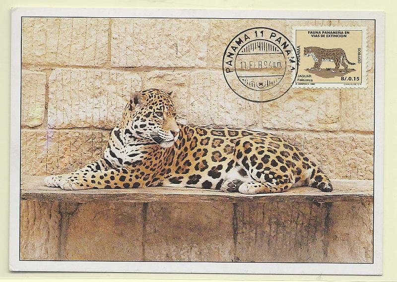 1912.jpg -     Lote:    1912      Lotes pelo Correio              Descrição:      Panamá.   Jaguar (Felis onça). Postal ilustrado concordante com selo de 0,15B, obliterados com marca de dia do Panamá (11.02.94).        PM       Valor Base:     &euro; 8,00     Valor Venda:     Retirado     