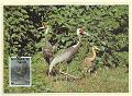 1899