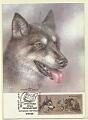 1907