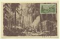 1920