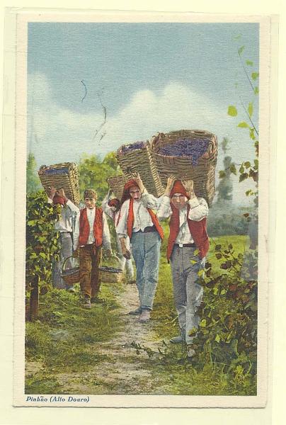 1978.jpg -     Lote:    1978      Lotes pelo Correio              Descrição:         Costumes Portugueses. Pinhão (Alto Douro) &mdash; Jornaleiros transportando as uvas. Novo.        PI       Valor Base:     &euro; 5,00     Valor Venda:     Retirado     