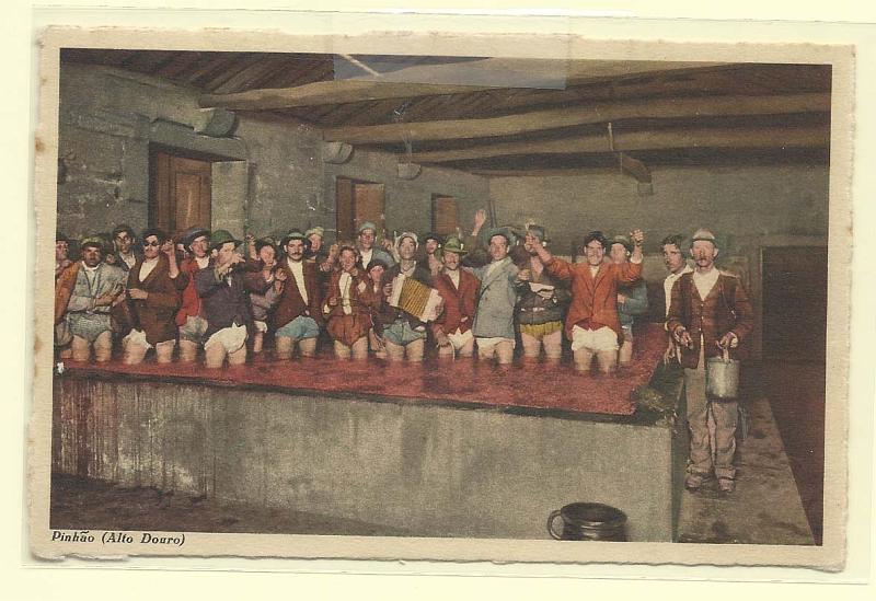 1979.jpg -     Lote:    1979      Lotes pelo Correio              Descrição:         Costumes Portugueses. Pinhão (Alto Douro) &mdash; Uma pizagem de uvas no lagar. Novo.        PI       Valor Base:     &euro; 7,00     Valor Venda:     Retirado     