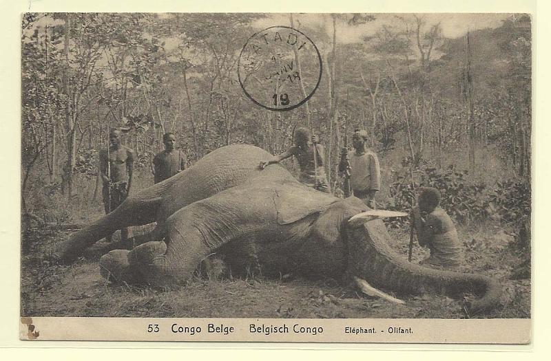2468.jpg -     Lote:    2468      Lotes pelo Correio              Descrição:      Congo Belga.   Inteiro postal 10c "Elephant".        IN       Valor Base:     &euro; 10,00     Valor Venda:     Retirado     