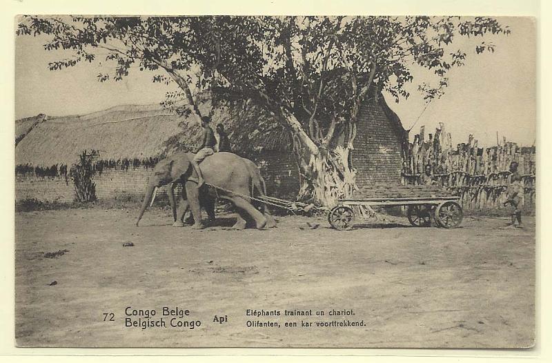2469.jpg -     Lote:    2469      Lotes pelo Correio              Descrição:      Congo Belga.   Inteiro postal 10c "Elephanttrainantunchariot".        IN       Valor Base:     &euro; 10,00     Valor Venda:     Retirado     