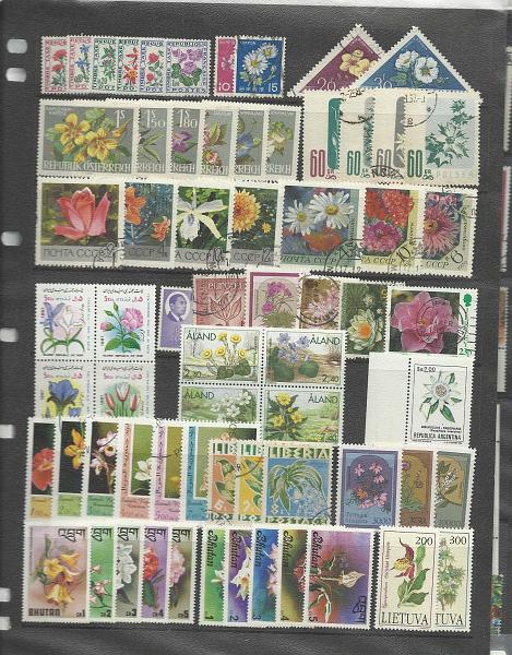 2631.jpg -     Lote:    2631      Lotes pelo Correio              Descrição:         Temática Flores. Lote composto por 182 selos novos e usados. Lote a ver.        Lote       Valor Base:     &euro; 10,00     Valor Venda:     &euro; 17,00       