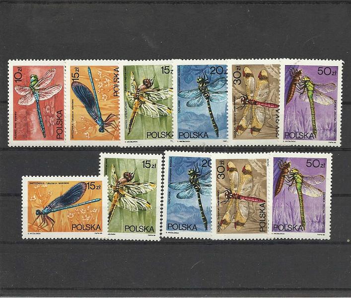 2635.jpg -     Lote:    2635      Lotes pelo Correio              Descrição:         Fauna * Temática. Lote com selos usados com CTO. Lote a ver.        Lote       Valor Base:     &euro; 5,00     Valor Venda:     &euro; 5,00       