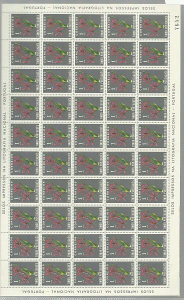 1311.jpg -     Lote:    1311            Timor       Descrição:         1950 &mdash; Flores Tropicais. CE275, 1 avo. Folha completa de 50 selos. Valor de catálogo &euro; 90,00.        ***       Valor Base:     &euro; 30,00     Valor Venda:     &euro; 34,00       