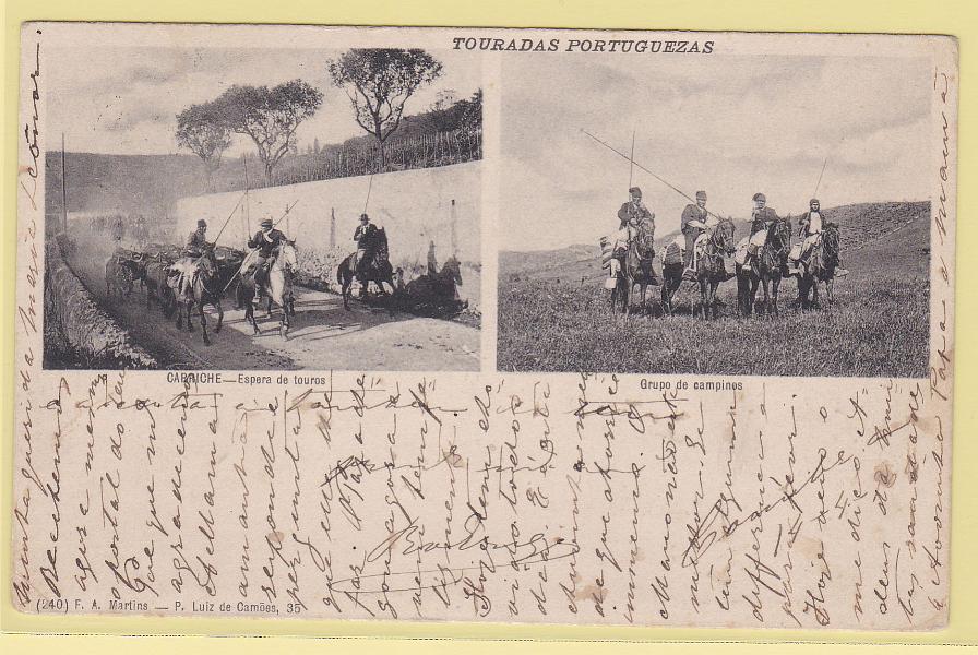 1982.jpg -     Lote:    1982      Lotes pelo Correio             Descrição:         Costumes. Touradas Portuguesas. "CARRICHE &mdash; Espera de touros". Circulado.        PI       Valor Base:     &euro; 8,00     Valor Venda:     Retirado     